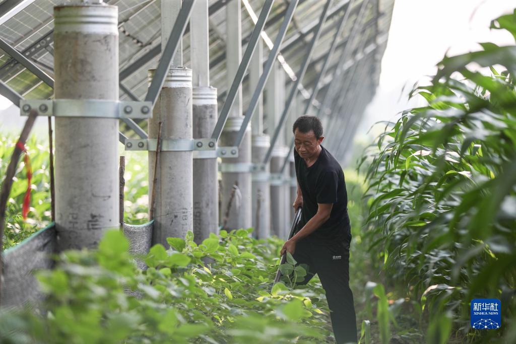 大连娱网旗牌官网下载
